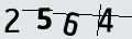 verifycode